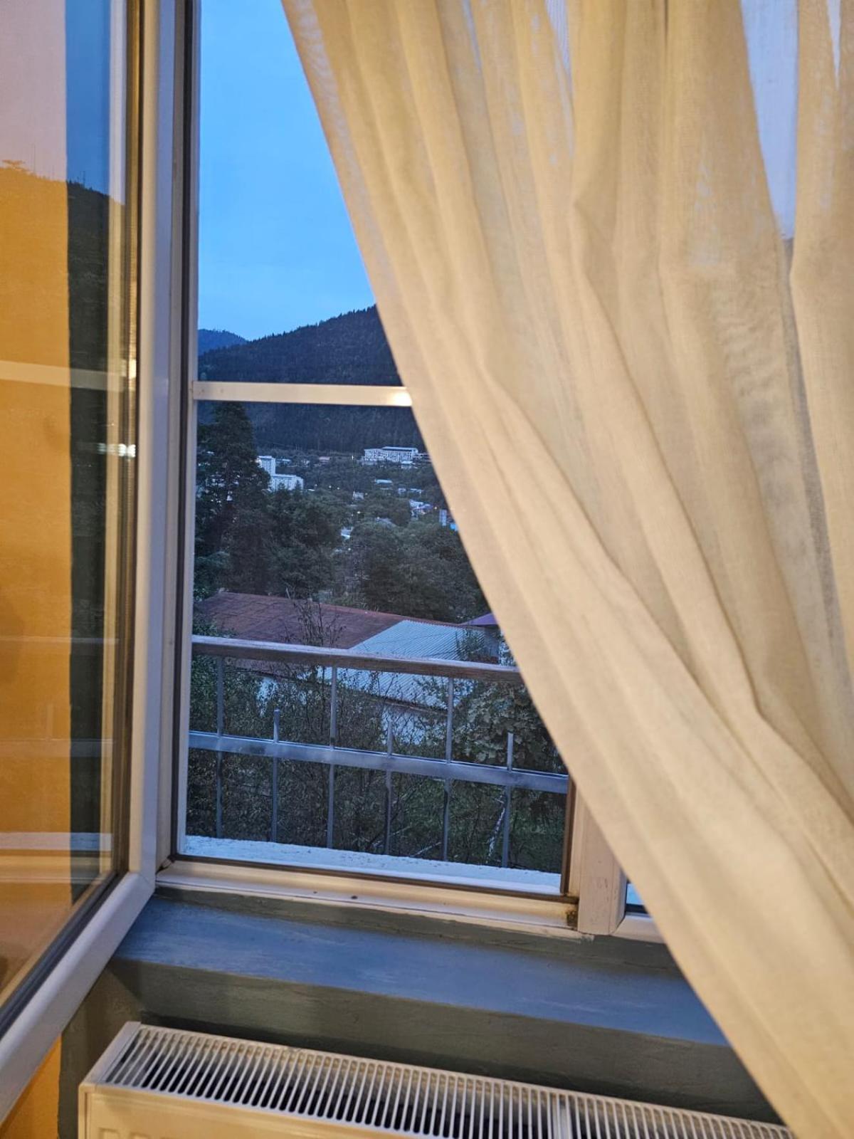 Guest House Likani 2017 Bordżomi Pokój zdjęcie