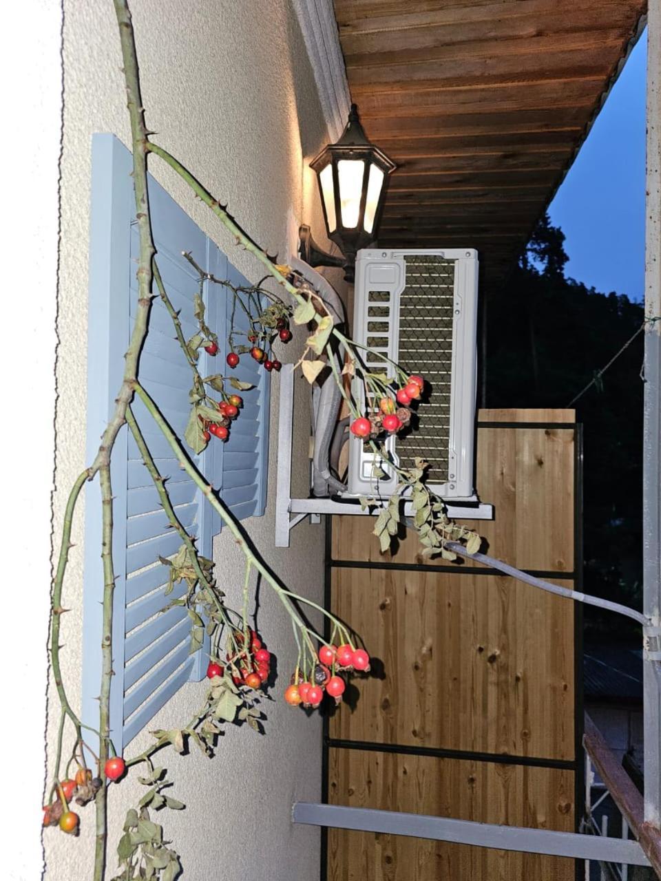Guest House Likani 2017 Bordżomi Pokój zdjęcie