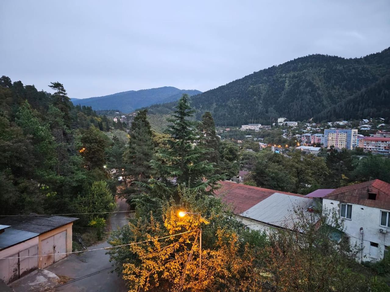 Guest House Likani 2017 Bordżomi Pokój zdjęcie
