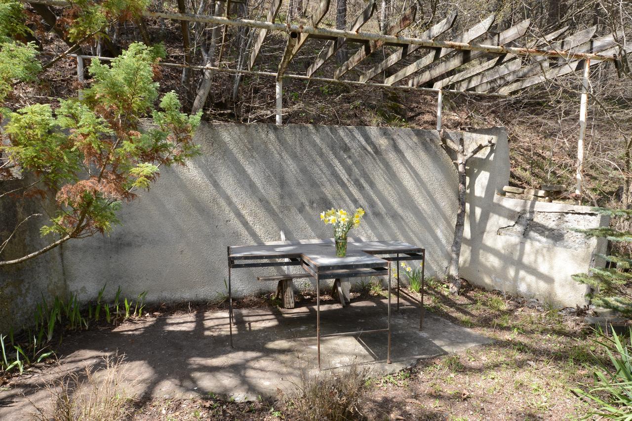 Guest House Likani 2017 Bordżomi Zewnętrze zdjęcie