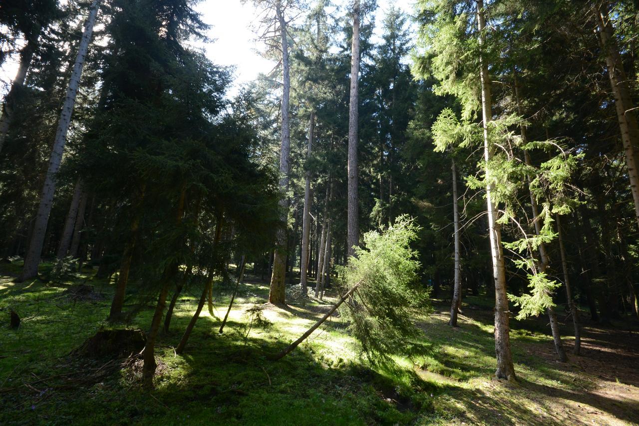 Guest House Likani 2017 Bordżomi Zewnętrze zdjęcie
