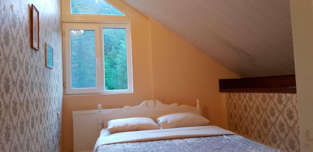 Guest House Likani 2017 Bordżomi Zewnętrze zdjęcie