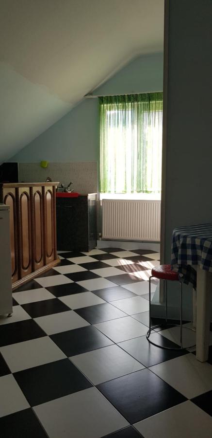 Guest House Likani 2017 Bordżomi Zewnętrze zdjęcie