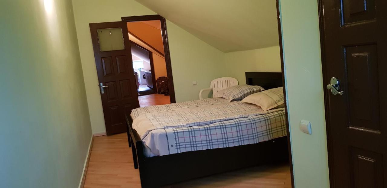 Guest House Likani 2017 Bordżomi Zewnętrze zdjęcie